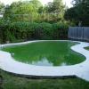 Pool Renovation Before