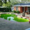 Pool Renovation Dallas